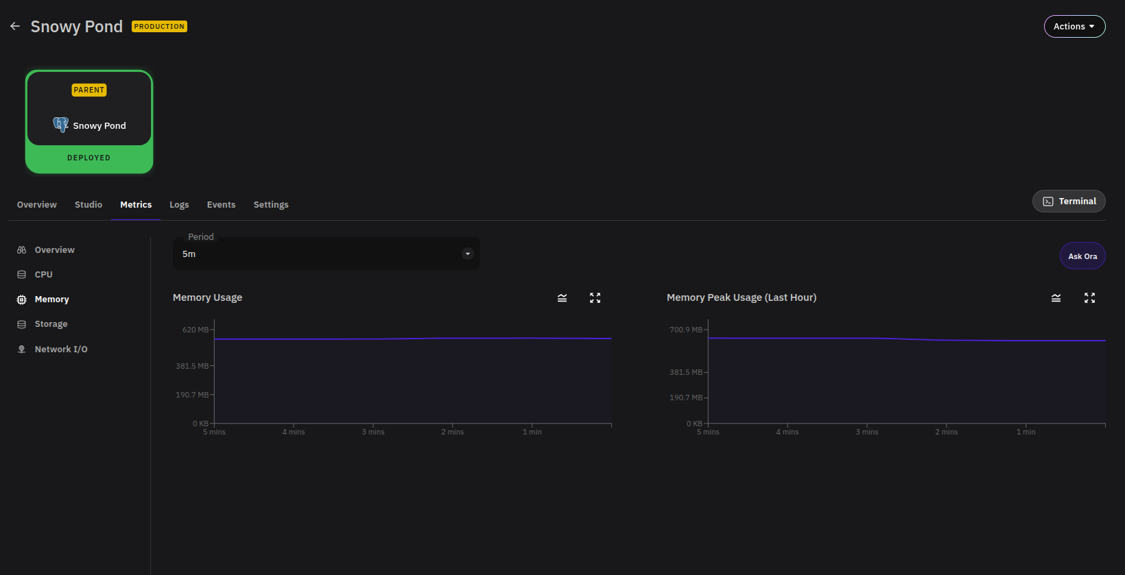 Memory Metric