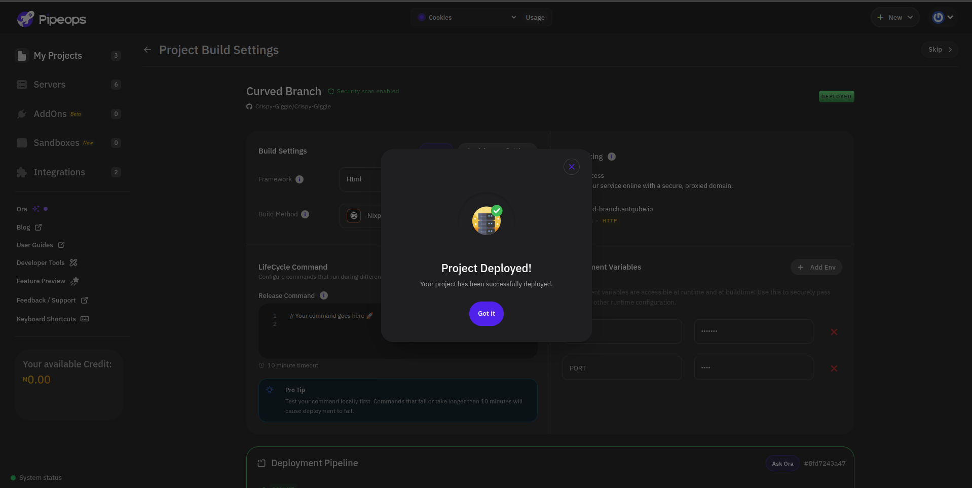 Project Deployed success modal