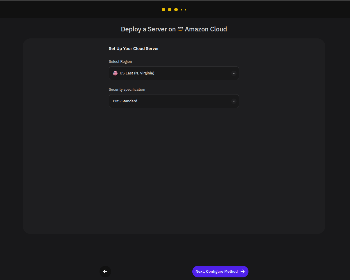 Server setup page with region and security specification fields