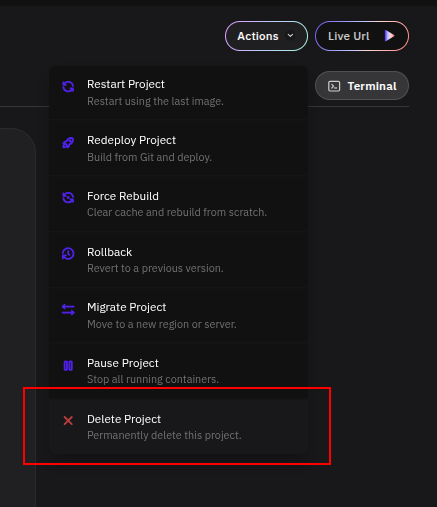 Delete Project