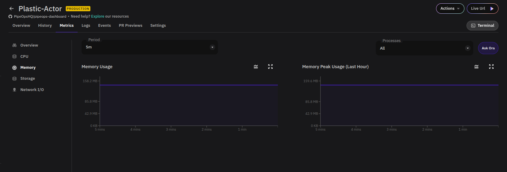Memory Metric