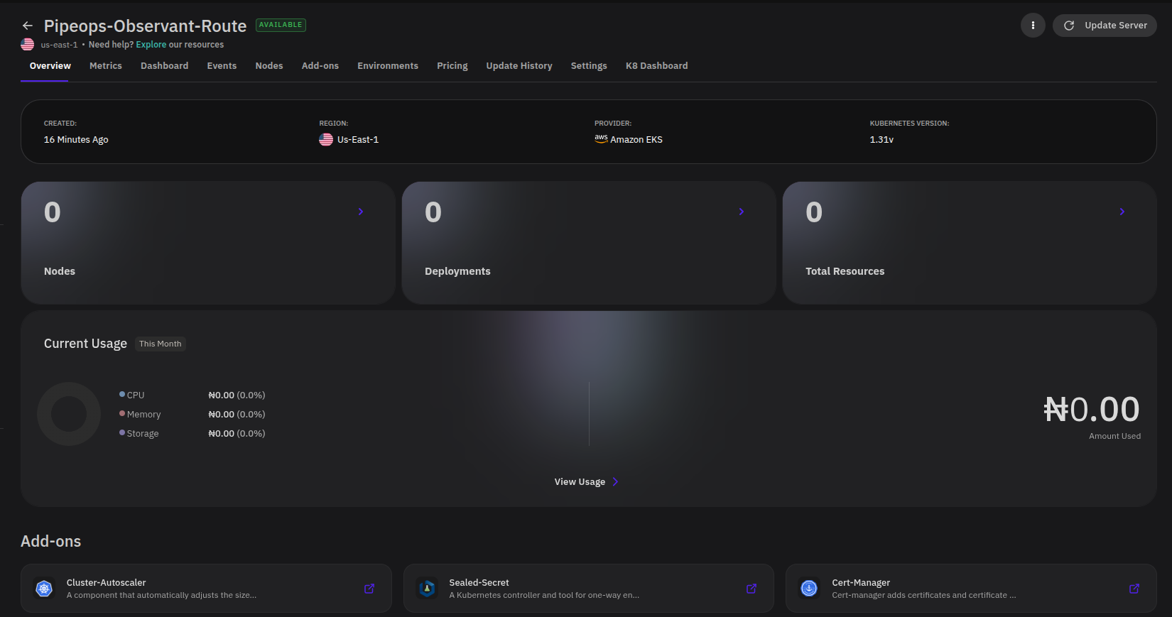 Server overview page for a Karpenter server