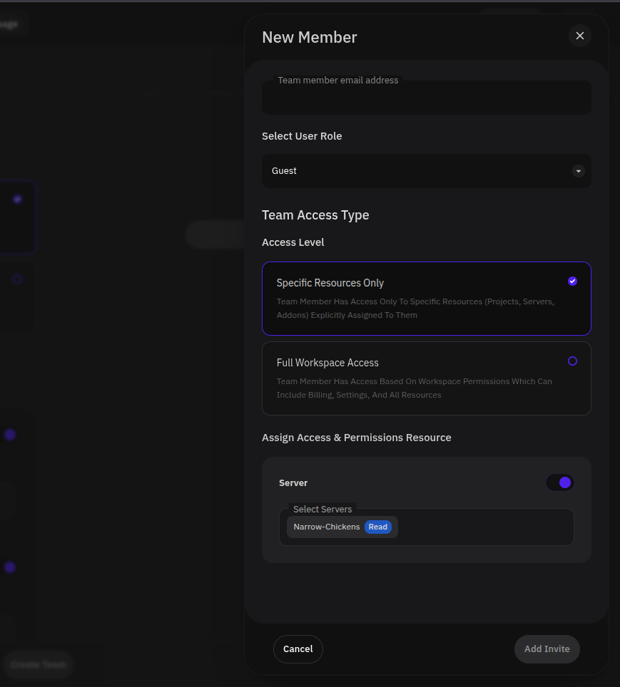 New Member drawer showing email, role, access level, and resource assignment fields