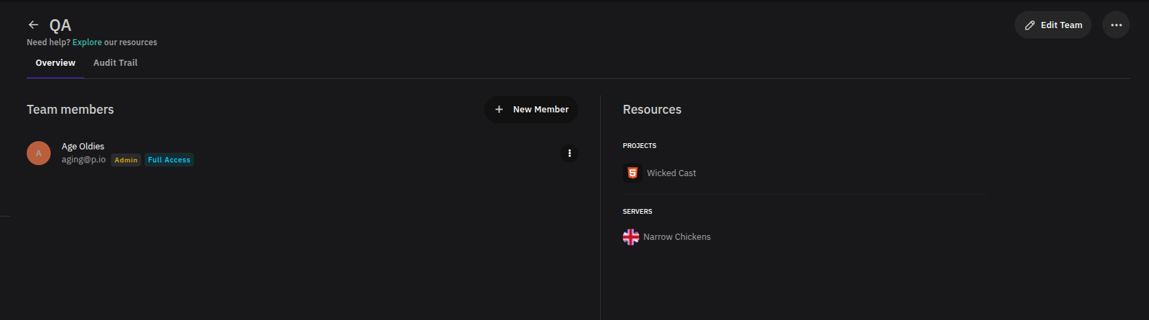 Team Overview tab showing member list, New Member button, and assigned resources