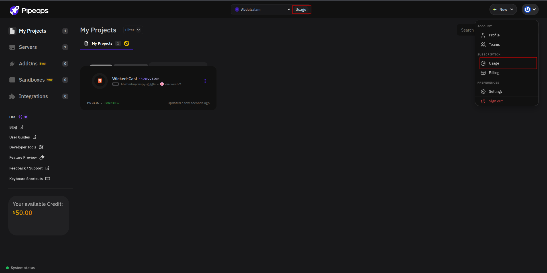 Account menu open with the Usage option highlighted under Subscription