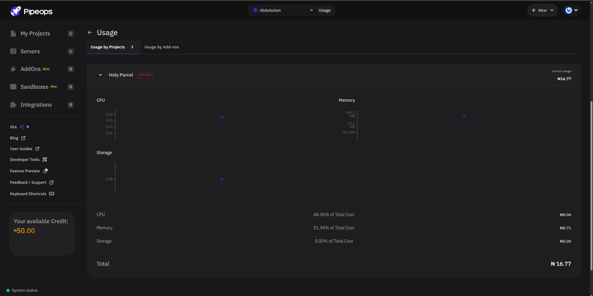 Expanded project row showing usage charts, cost percentage split, and project total