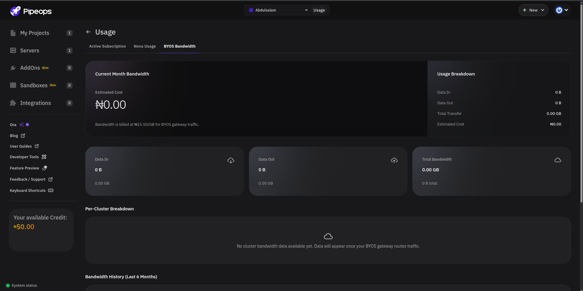 BYOS Bandwidth tab showing current month summary cards and per-cluster breakdown